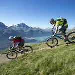 Saratz Mountain &