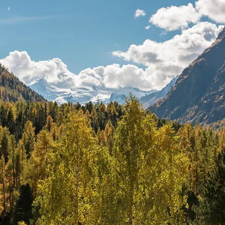 Saratz Mountain & 4*