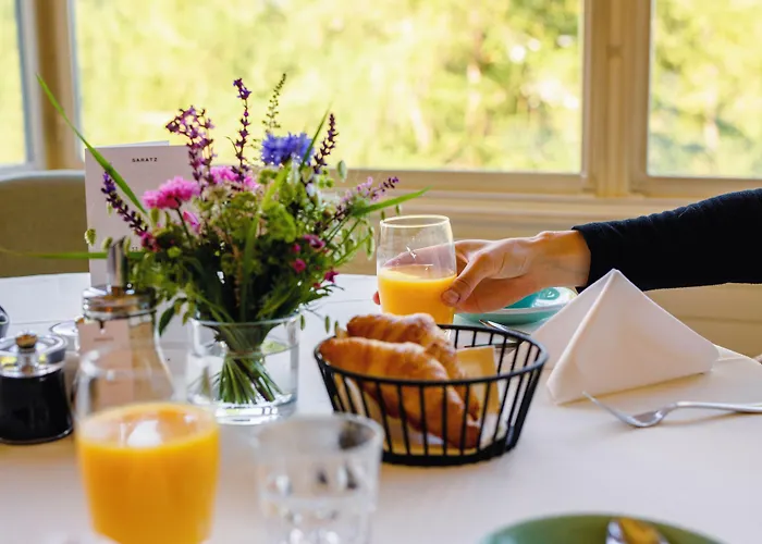 Saratz Mountain & Hotel