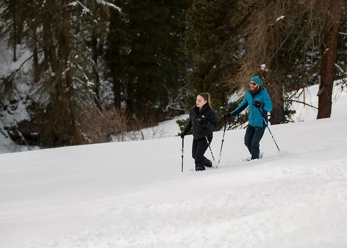 Отель Saratz Mountain & 4*