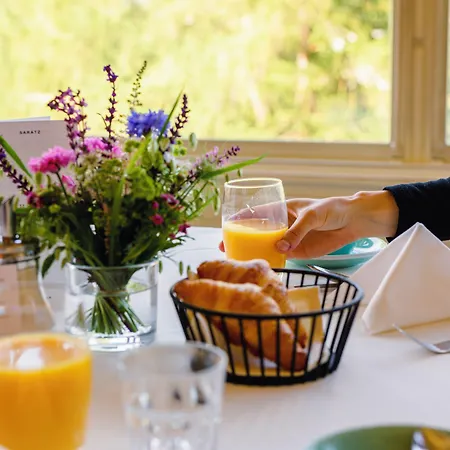 Saratz Mountain & מלון