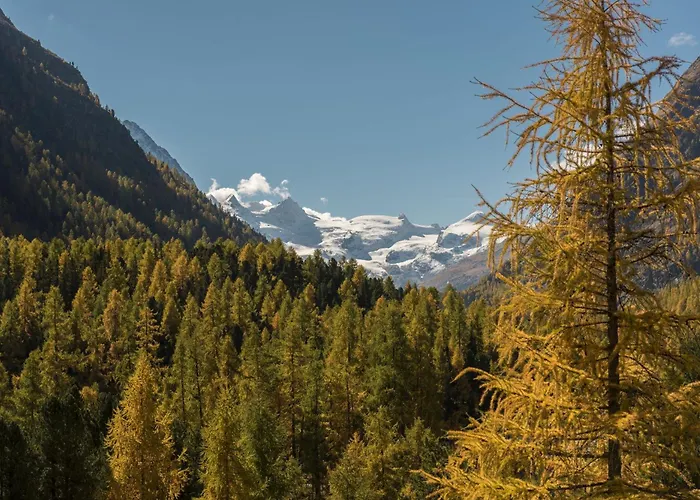 Hotel Saratz Mountain & Pontresina