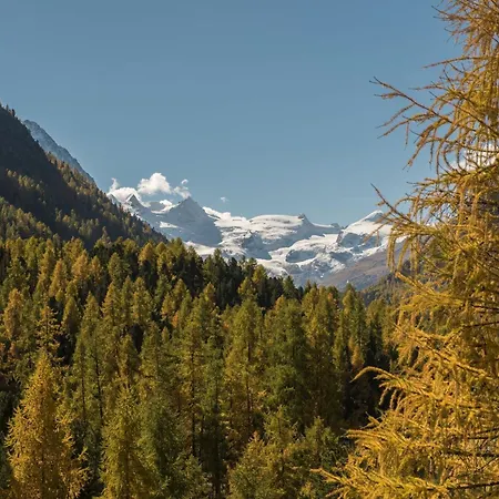 Hotel Saratz Mountain & Pontresina