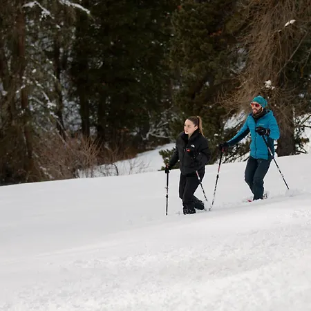 Hotel Saratz Mountain & 4*