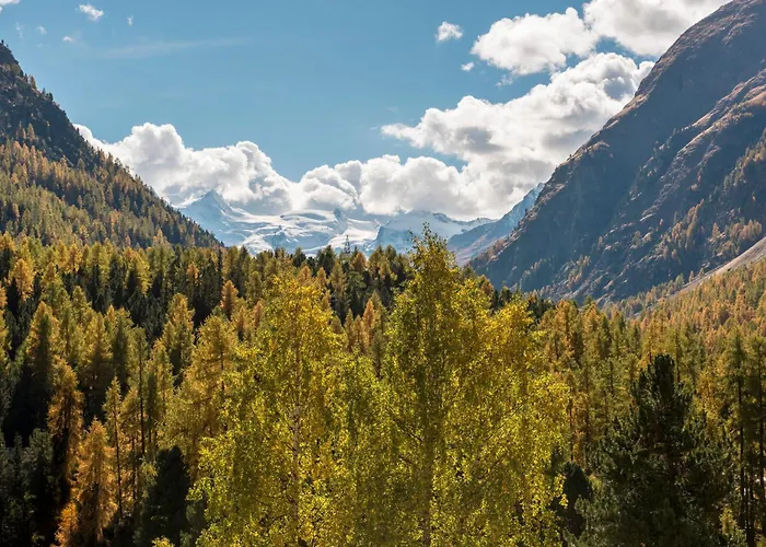 Saratz Mountain & 4*